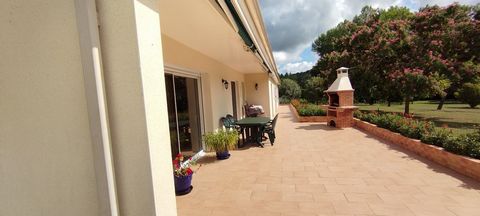 photo no. 14