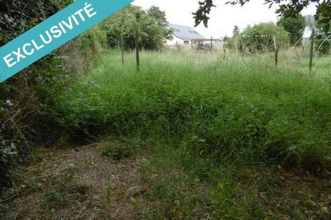 photo no. 9