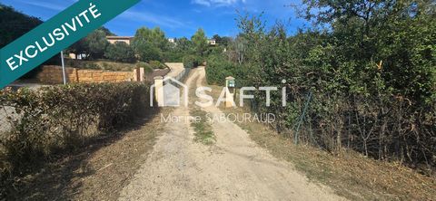 photo no. 14