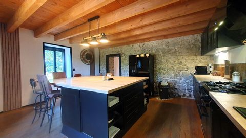 photo no. 11