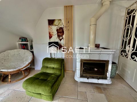 photo no. 15