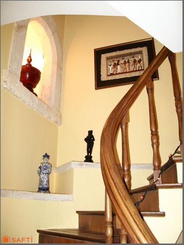 photo no. 8