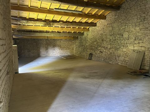 photo no. 16
