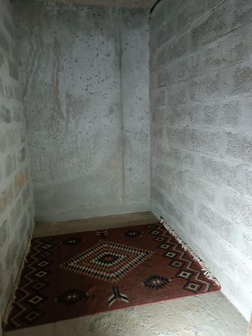 photo no. 9