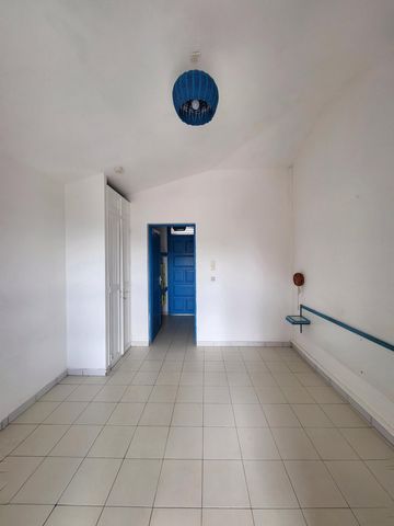 photo no. 6