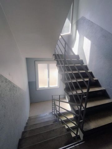 photo no. 2
