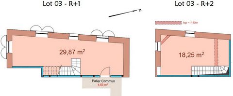 Saint-Priest / Manissieux - T2 duplex en plateaux