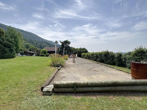 photo no. 10