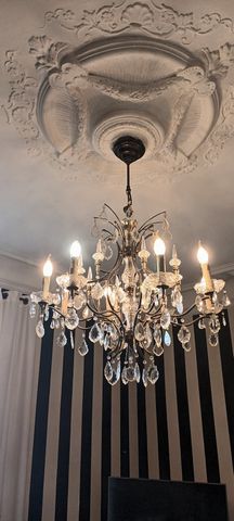 photo no. 12