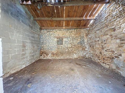 photo no. 11