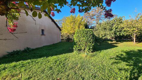 photo no. 9