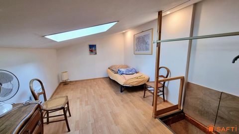 photo no. 7