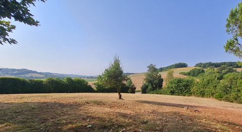 photo no. 18