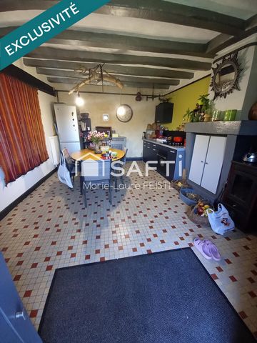 photo no. 11