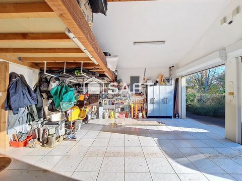 photo no. 15