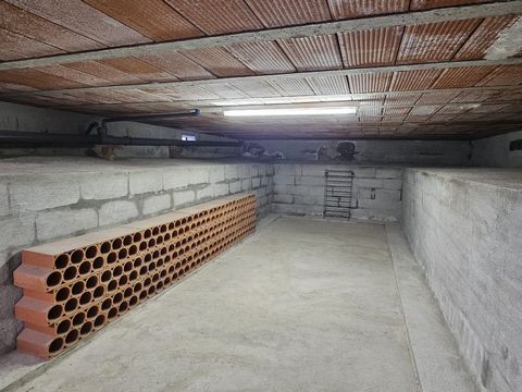 photo no. 13