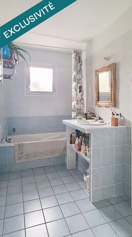 photo no. 8