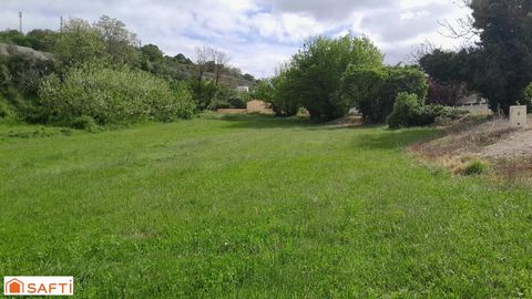 photo no. 2