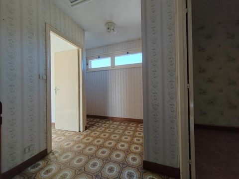 photo no. 12