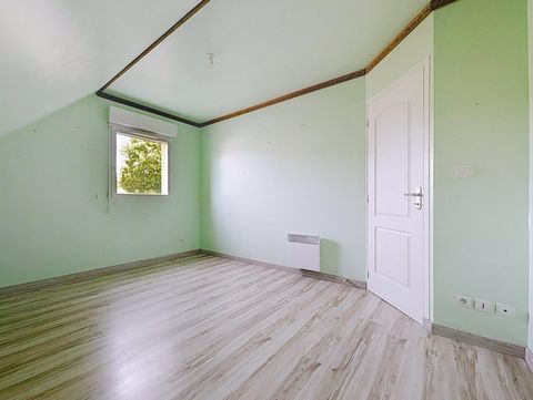 photo no. 11