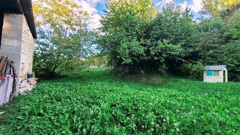 photo no. 15