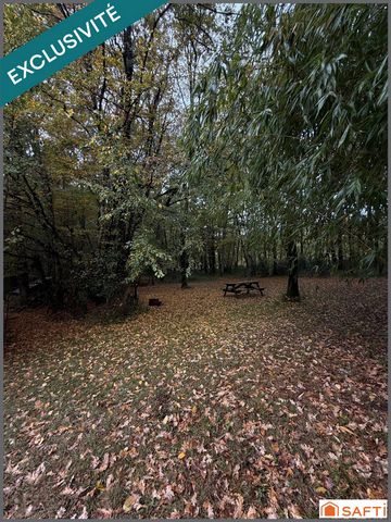 photo no. 10