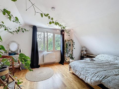 photo no. 13
