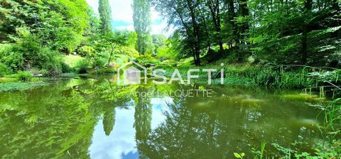 photo no. 17