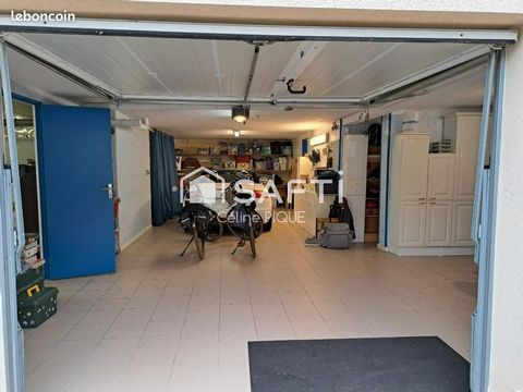 photo no. 11