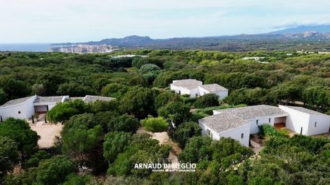 Ensemble immobilier dans la campagne bonifacienne