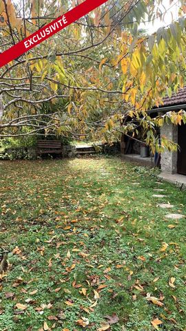 photo no. 19