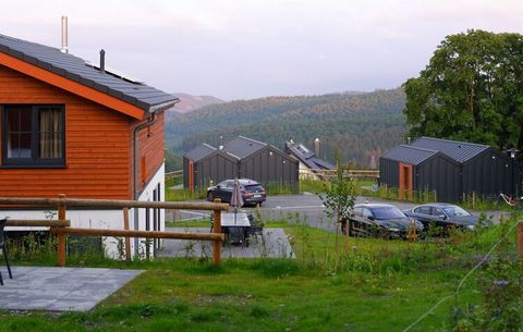 Cette villa luxueuze, moderne et indépendante est située dans le magnifique parc de vacances Ferienpark Winterberg. Il se trouve à environ 500 m du domaine skiable et à environ 1 km du centre-ville chaleureux de Winterberg. La villa est confortable, ...