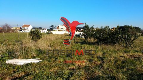 Land overlooking the beautiful ria de Aveiro. It is located in Gafanha da Encarnação, municipality of Ílhavo, aveiro district A quiet area, belonging to Ílhavo, sought by those who want a refuge in a quiet environment, between the ria of Aveiro and t...