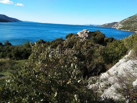 Pelješac, south side, agricultural land of 10.897m2, in the first row by the sea with direct access to the beach. It is approx. 60m from the road and the last 60m is a pedestrian approach and it is approx. 1km from the center. The southern slopes of ...