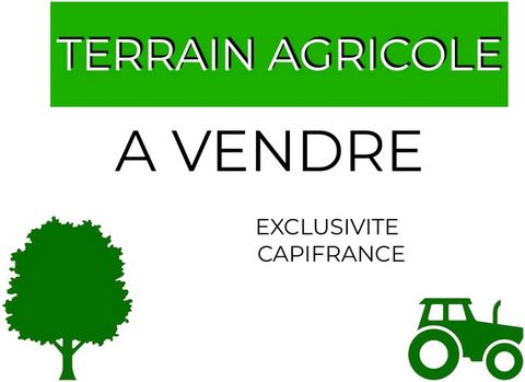 Dpt Pyrénées Orientales (66), à vendre SAINT ANDRE terrain - Terrain agricole de plus de 3000 m²