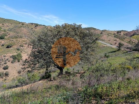 Land with 43,560 m2 near Alta Mora - Odeleite - Castro Marim - Algarve. Land with some trees. Good access. River view. Land with unobstructed views of the Serra Algarvia. Possibility to build a warehouse and/or agricultural support. It is 25 minutes ...