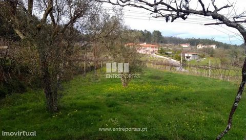 Land for sale with the possibility of construction, own water and good access. Good sun exposure. Good hits. Moinhos River, Penafiel. Ref.: MC08896 FEATURES: Land Area: 1 450 m2 Area: 1 450 m2 Useful Area: 1 450 m2 Energy Efficiency: Exempt ENTREPORT...