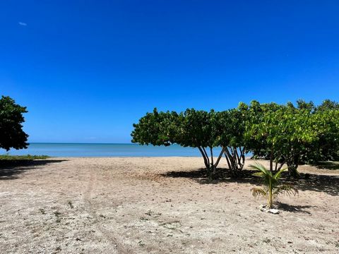 Beachfront living - This beautiful seven bedroom fully furnished resort property includes swimming pool, hot tub and so much more! Set on 1/3 acre with direct beach access, this amazing property includes two ground floor self contained units, a two-b...