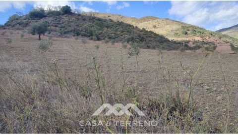 Unique opportunity! Rustic land of 37 500m2 on which you have the possibility to build 370 m2, you can create several houses, or make a B&B... Don't miss this incredible opportunity to set up your rental business or create the property of your dreams...