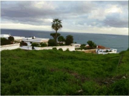 Land in Los Realejos close to a residential area, with an approximate area of 1,021 square meters. The offer is subject to errors, price changes, omissions and/or withdrawal from the market without prior notice. The indicated price does not include t...