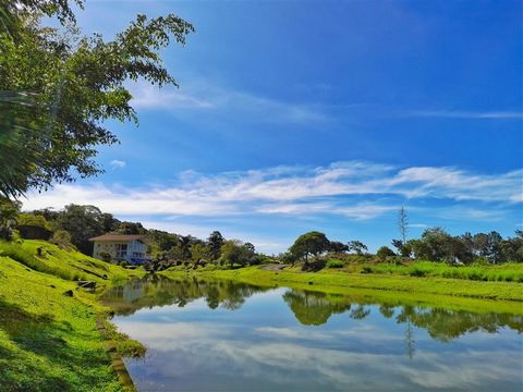 About 15 minutes from downtown Boquete and close to Lucero, the luxurious golf course community is Alta Vista.   Alta Vista is a boutique gated community of custom homes. In Alta Vista is this great building site lot now for sale.   It has lovely vie...