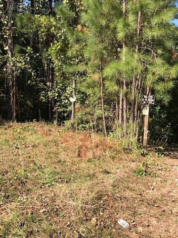 Coveted Coweta County acreage! Great opportunity to build our dream home from the ground up. Possibilities abound: residential single family/mini farm/wooded hide-a-way. Consult with the City of Palmetto, they are happy to assist.