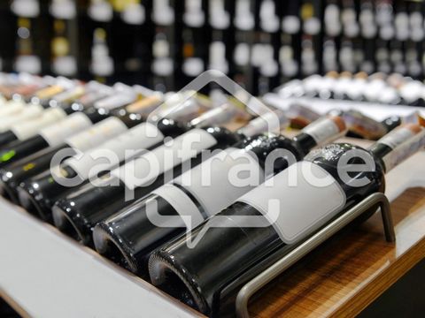 Dpt Finistère (29), à vendre Région de QUIMPER Cave à vin