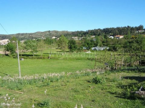 Land with 7,500 m2 in Quinchães Land with: 7,500 m2; Plan; Good access; Good sun exposure; Well water; Near the City; Quiet area. Parish of Quinchães Quinchães is a parish in the municipality of Fafe, with an area of 10.61 km² and 2,278 inhabitants, ...