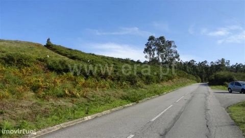 Coutada with area of 2.240m2; Road front; Confront s/ brook; Excellent sun exposure