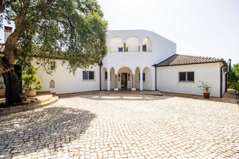 This property consists of 3 plots of land together with a total of 25.250 m2 fully fenced throughout comprising a 4+1 bedroom villa, a 3 bedroom villa, a heated pool, a stable and various cork trees. Main Villa: As you enter the home, you flow throug...