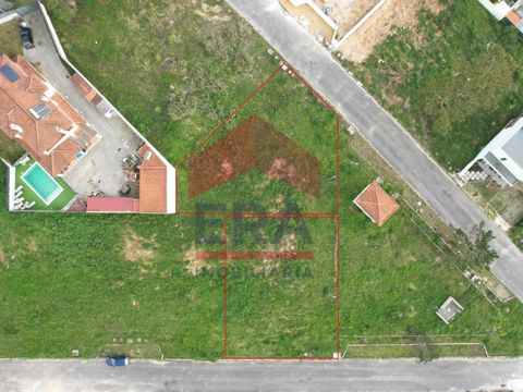 Deux lots d'une superficie totale de 989m2 situés à Óbidos. Pour la construction de deux maisons, l'une individuelle avec une superficie au sol de 130m2 et une surface brute de construction de 313m2, et l'autre jumelée avec une superficie au sol de 1...