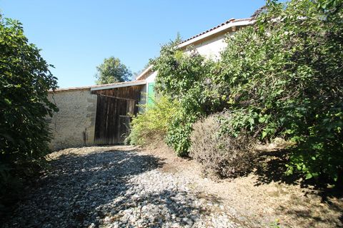 photo no. 2