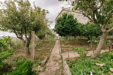 Lote de terreno rústico com uma área de 394m2 e possibilidade de construção de 364m2. Situado no pacato Bairro Novo de Palhais, sensivelmente a 4 Km de Loures, zona em franco desenvolvimento. Excelentes acessos rodoviários a Lisboa, Norte entre outro...