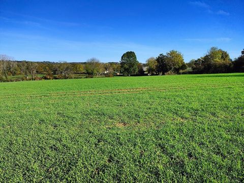 A vendre terrain 5996 m2, idéal pour des lotissements. Environnement calme. Beau terrain plat bordé de haies et d'arbres. Zone AU1 du PLU : bien pour aménagement de type lotissement. Proximité commerces - écoles - centre Rignac. Proche réseaux Le ter...